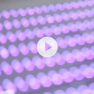 LED Exposure Video